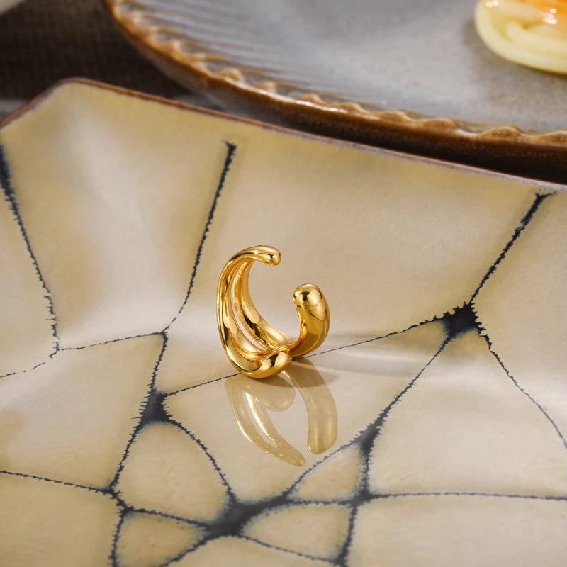 Ear Clip Earring